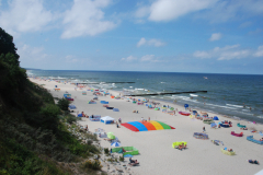 DSC_8847